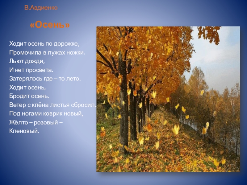 Ходит осень. Авдиенко Виктор Борисович осень. Золотая осень Авдиенко. Осень Авдиенко ходит осень. Ходит осень по дорожке промочила осень ножки.