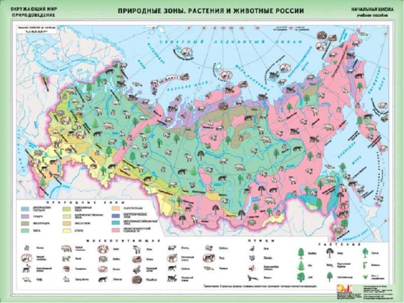 Географическая карта природных зон россии