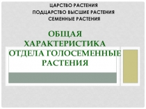 Презентация Общая характеристика голосеменных растений. Хвойные растения