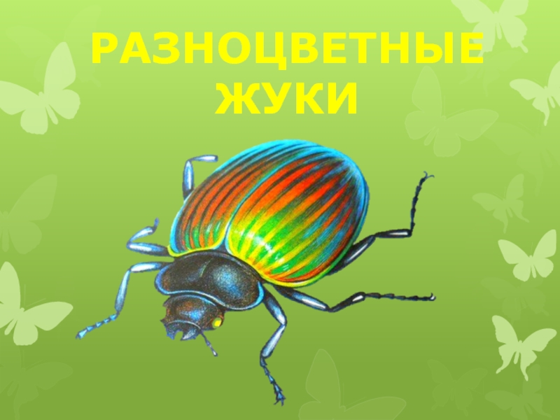 Жуков презентация 1 класс. Урок изо в 1 классе разноцветные жуки. Урок рисования 1 класс разноцветные жуки. Разноцветные жуки изо 1 класс презентация. Разноцветные жуки рисунок 1 класс.