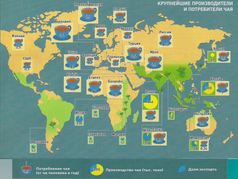 Карта производителей. Страны производители чая. Крупнейшие производители чая. Крупнейшие страны производители чая. Крупнейшие производители чая в мире.
