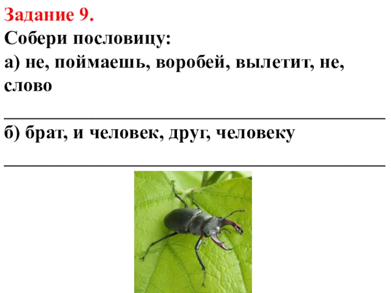 Вылетит не поймаешь. Поговорка слово не Воробей вылетит не поймаешь. Пословица слово не Воробей вылетит. Сочинение к пословице слово не Воробей вылетит не поймаешь. История к пословице слово не Воробей вылетит не поймаешь.