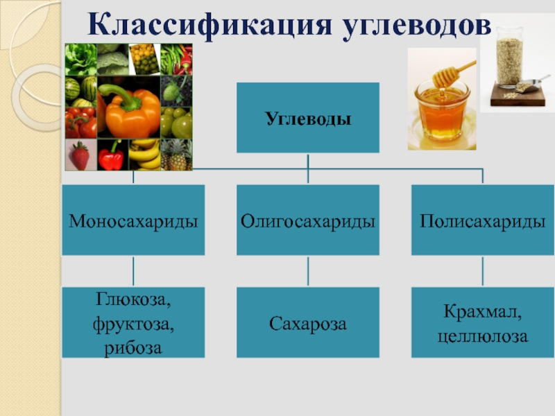 Урок углеводы 10 класс химия