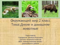 Дикие и домашние животные.Окружающий мир 2 класс