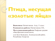 Презентация Птица,несущая золотые яйца