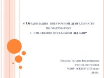 Организация внеурочной деятельности со школьниками по математике в С(к)ОУ VIII вида