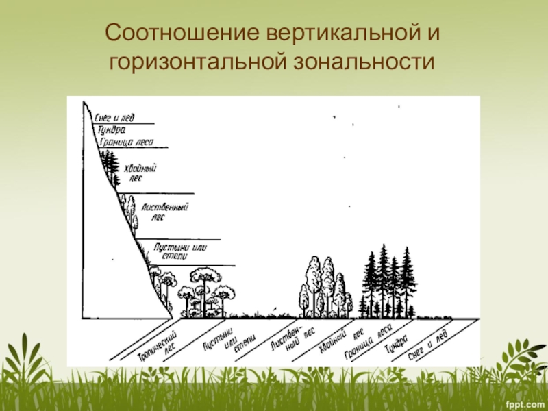 Изменение естественного природного ландшафта. Вертикальная зональность. Горизонтальная зональность почв. Горизонтальная и вертикальная зональность почв. Вертикальная зональность почв.