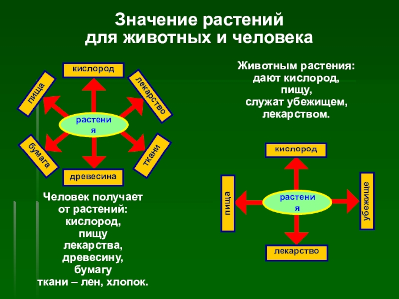 Схема окружающий мир 3 класс