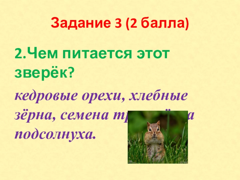 Задание 3 (2 балла)2.Чем питается этот зверёк?кедровые орехи, хлебные зёрна, семена трав, зёрна подсолнуха.