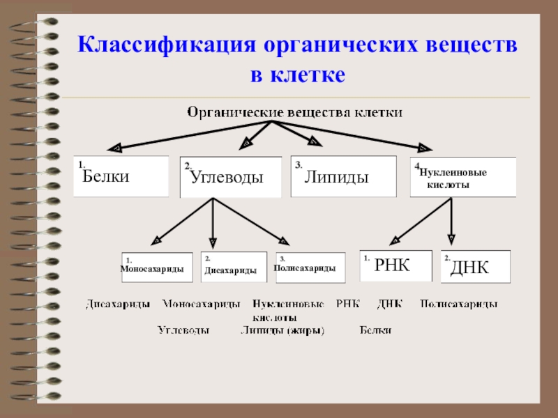 Классификация органических