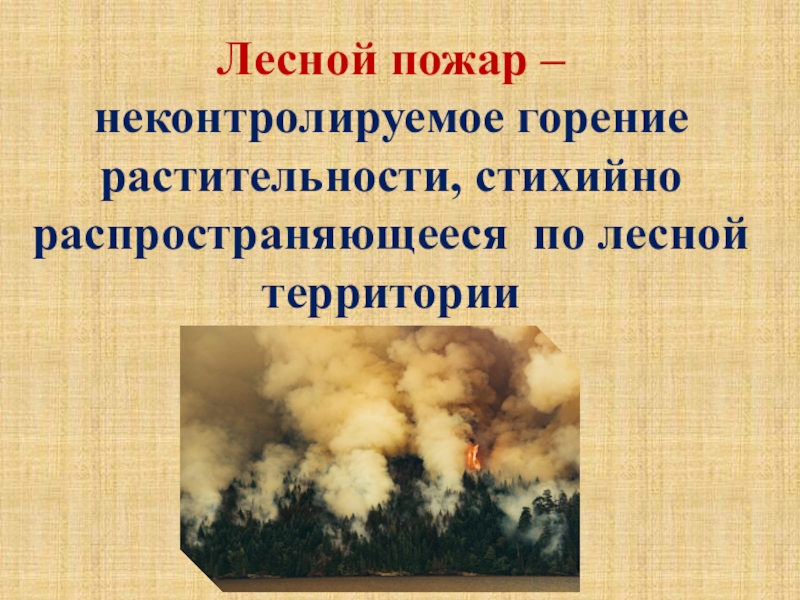 Лесной пожар это неконтролируемое горение растительности. Неконтролируемое горение растительности. Неконтролируемое горение растительности стихийно.