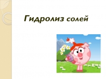 Гидролиз солей 9 класс