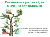 Систематика растений, ее значение для ботаники (6 класс)