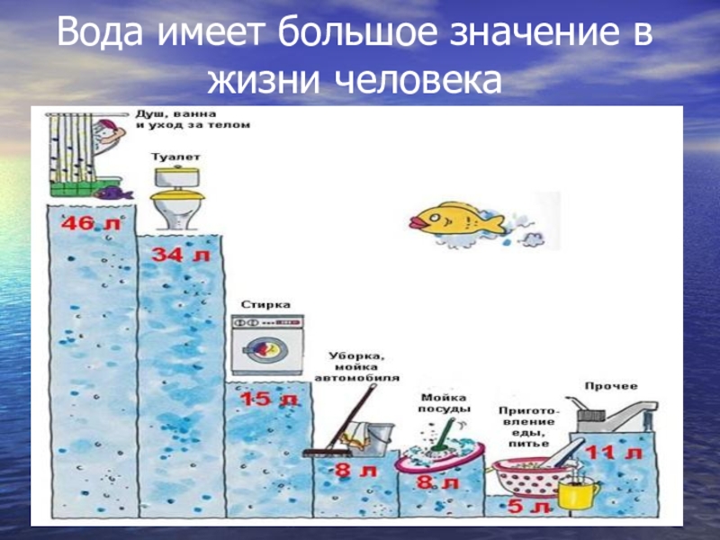 Схема водных богатств в природе и жизни человека схема