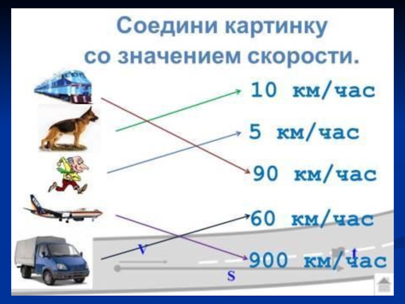 Сравнение скорости тела. Сравнение скорости. Скорость передвижения. Скорость разных животных. Скорости разных объектов.
