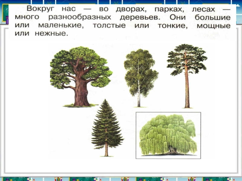 Дерево презентация по изо 2 класс