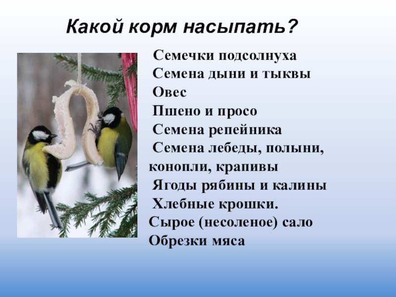 Какой корм насыпать? Семечки подсолнуха Семена дыни и тыквы Овес Пшено и просо Семена репейника Семена лебеды,