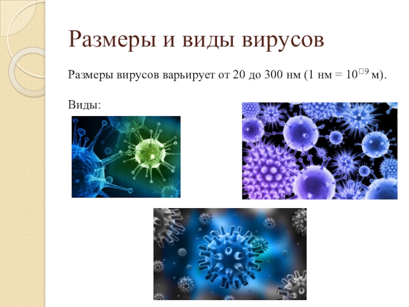 Размер пыльцы. Величина вирусов. Размеры вирусов. Размеры вирусов варьируют от. Размер пыльцы и вируса.