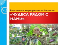 Презентация к развлекательному мероприятию по биологии: Чудеса рядом с нами.