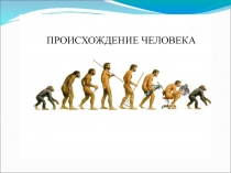 Презентация по биологии к обобщающему уроку Происхождение человека