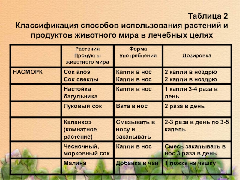 Определите к каким группам дикорастущих растений относятся представленные образцы технология 6 класс