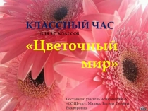 Классный час Цветочный мир
