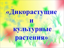 Презентация по окружающему миру на тему Культурные и дикорастущие растения 2 класс