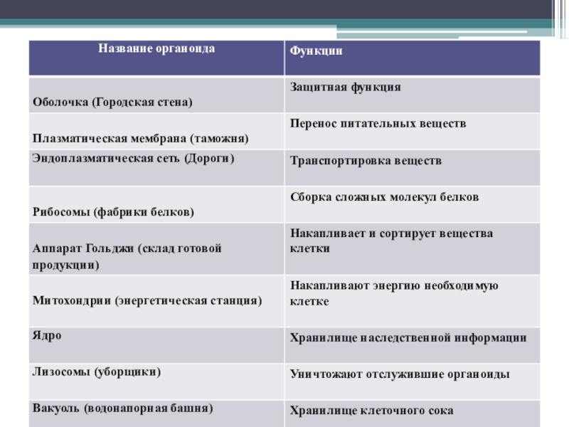 Таблица по биологии название органоида строение функции