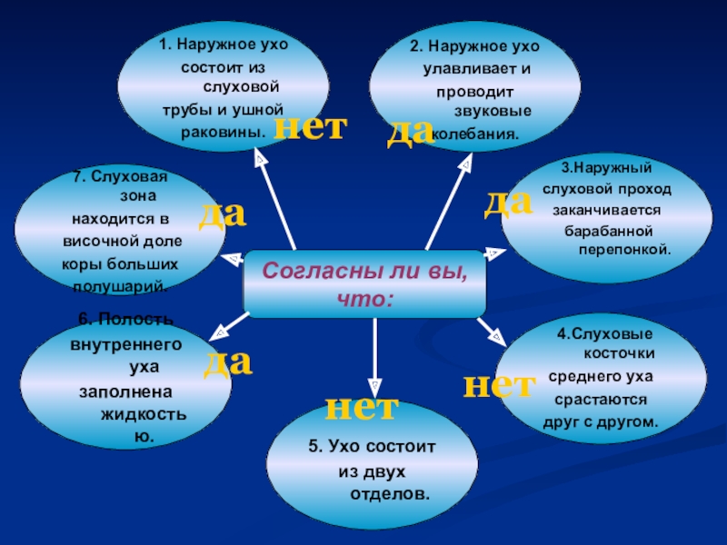 Презентация по теме слуховой анализатор 8 класс