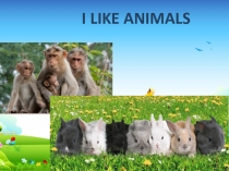 Презентация по английскому языку на тему Множественное число существительных