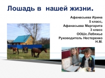 Исследовательская работа Лошадь в нашей жизни