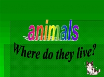Презентация к уроку английского языка в 3 классе по теме животные Where do they live?