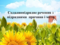 Презентація до уроку Складнопідрядне речення з підрядними причини і мети (9 клас)