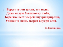 Лекарственные травы (5-6 класс, школа 8 вида).