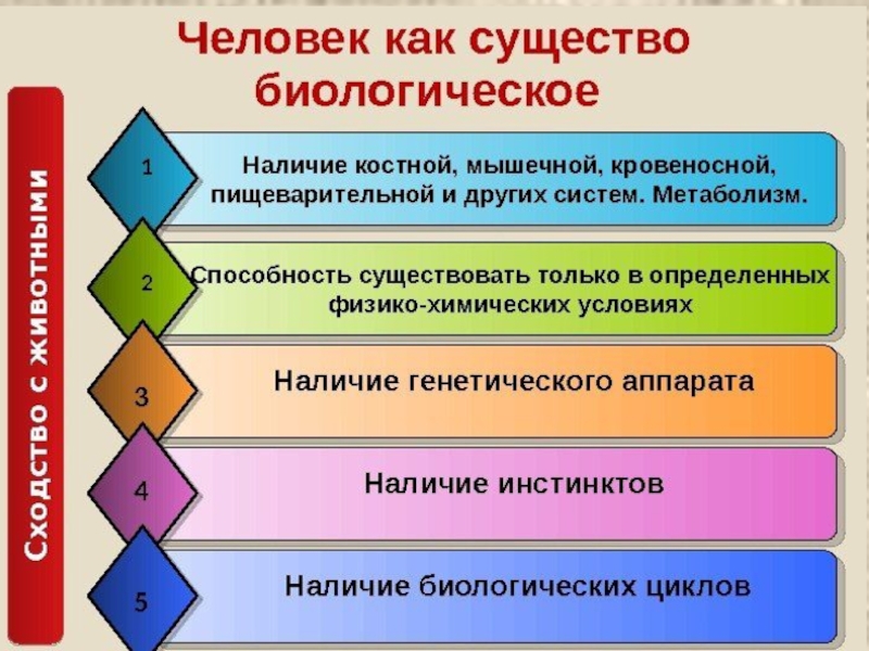 Природа человека свойственна. Человек как биологическое существо. Особенности человека как социального существа. Человек биологическое существо примеры. Признаки человека как биологического существа.