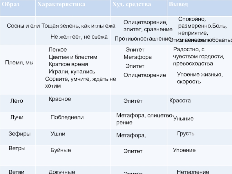 Пусть сосны и ели всю зиму торчат. Сравнение сосны и ели выводы.