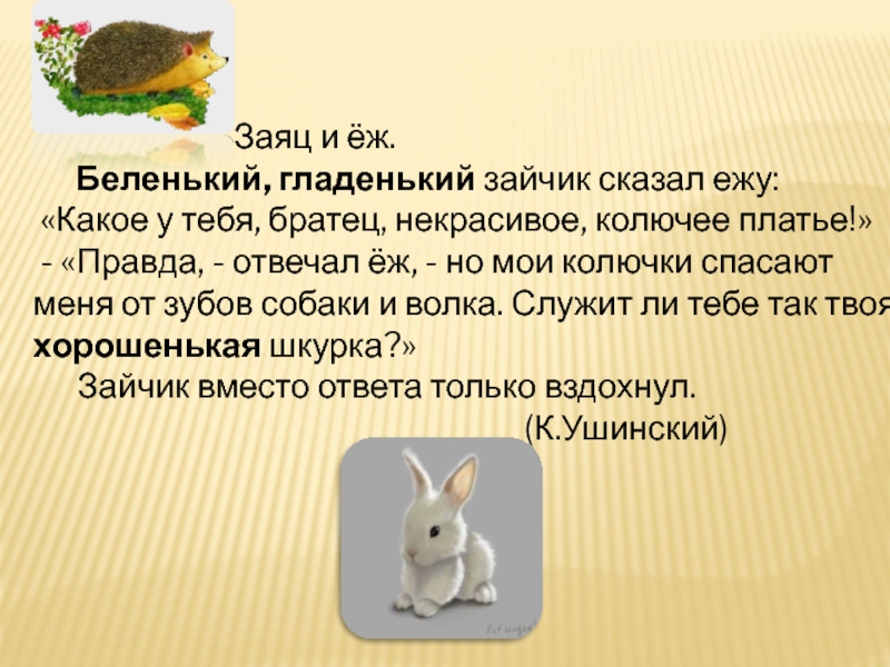 Суффикс слова зайцы. Заяц и Ежик сказка. Сказка про зайчика и ежика. Предложение про зайку. Текст про зайца.