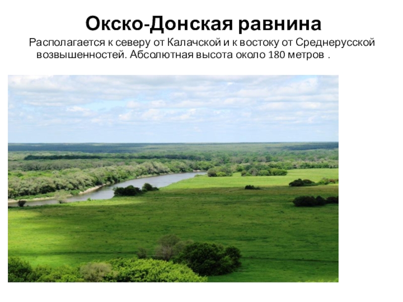 Донская низменности. Среднерусская возвышенность и Окско Донская низменность. Воронежская область Окско-Донская низменная равнина. Окско Донская равнина Тамбовская область. Равнинный рельеф Воронеж.