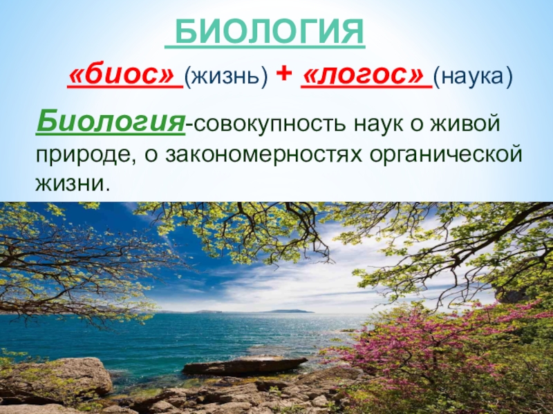 3 наука о природе. Биология наука о живой природе. Живая природа биология. Биология биос жизнь Логос наука. Биология совокупность наук о живой природе.