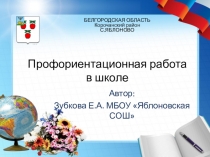 Презентация Профориентационная работа в школе