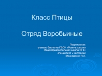 Класс Птицы. Отряд Воробьиные