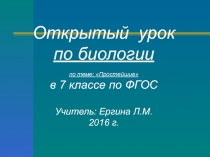 Презентация по биологии: Простейшие