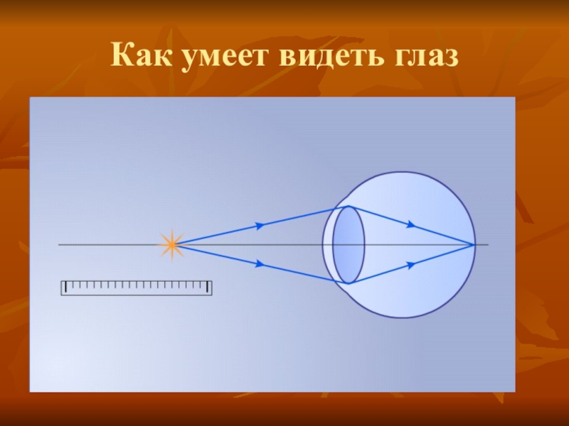 Глаз видит силуэт. Как называют видимое глазом пространство.