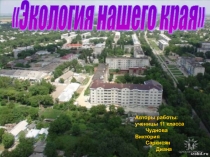 Презентация по экономике на тему:Экология