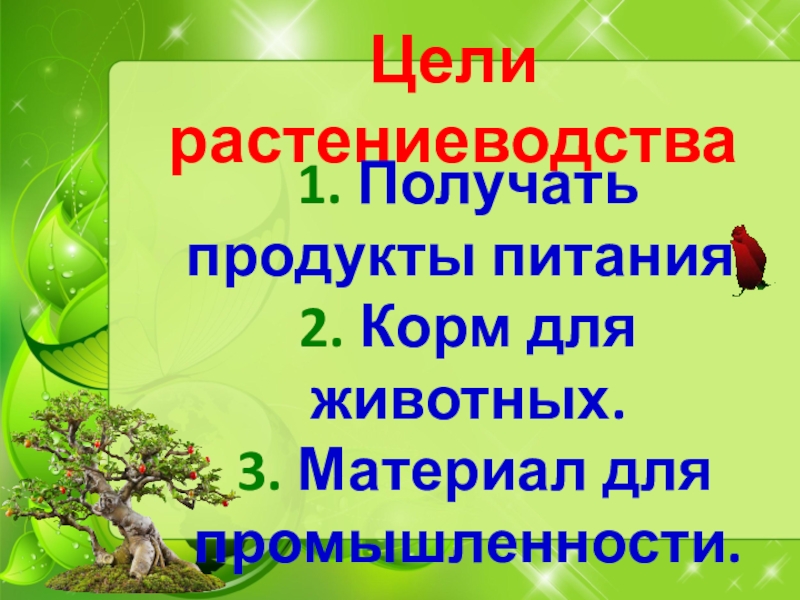 Цели растениеводства. Цель полеводства. Цель возделывания культуры.