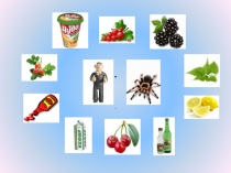 Презентация по химии к уроку Кислоты (8 класс)