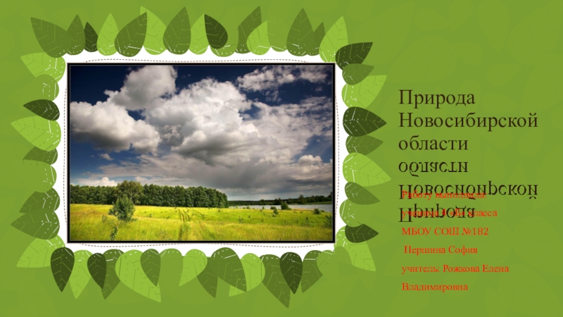 Фото Новосибирской Природы