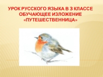Презентация по русскому языку на тему Обучающее изложение Путешественница