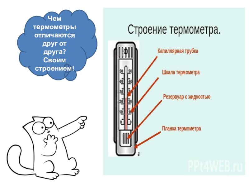 Презентация естествознание 2 класс откуда градусник знает тепло или холодно