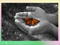 Презентация к мастер-классу Применение здоровьесберегающих технологий в начальной школе